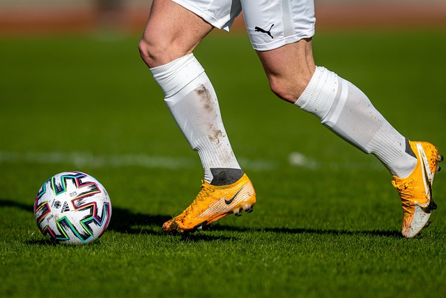 思其忽视背 思其忽视背