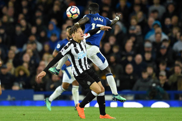 在热刺球迷 在热刺球迷