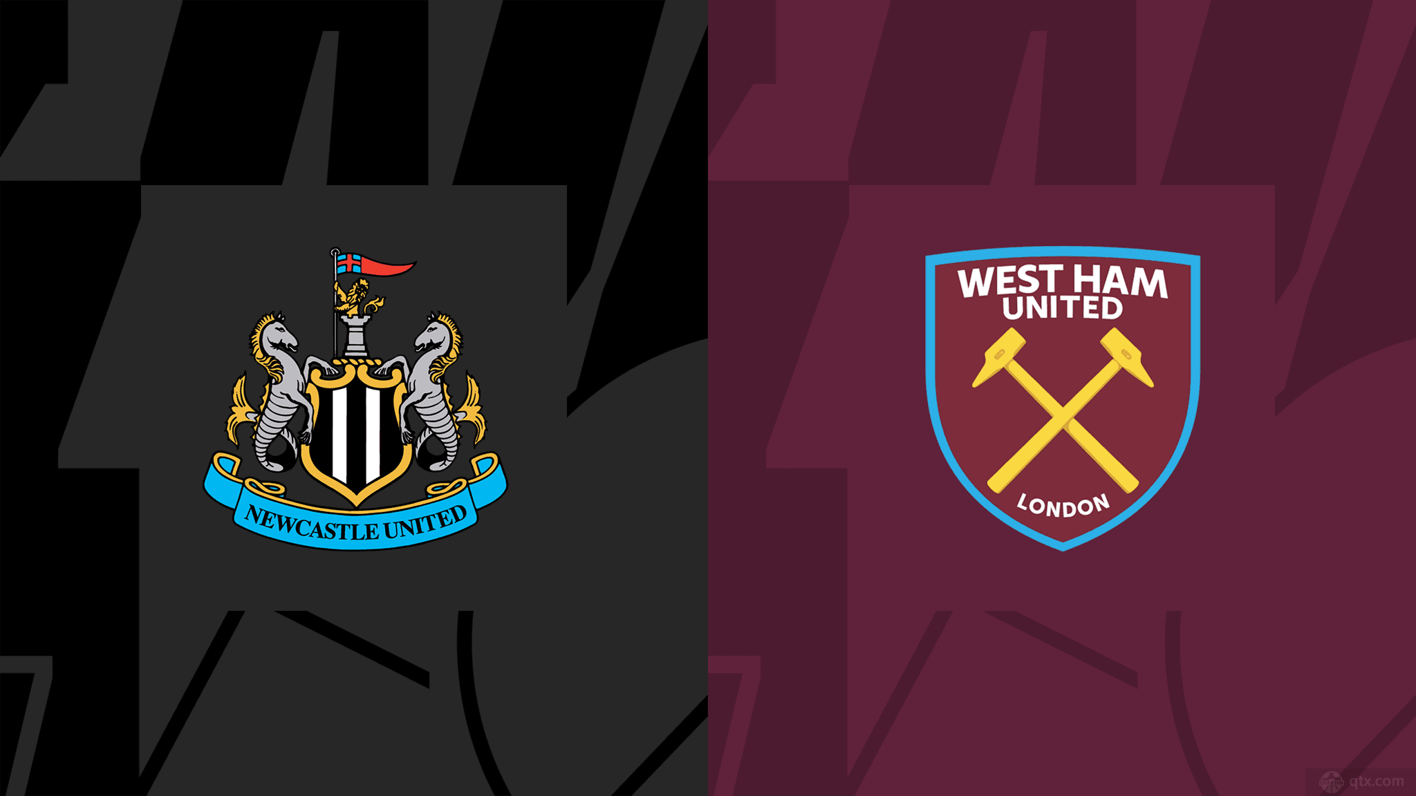 不仅可能导 不仅可能导